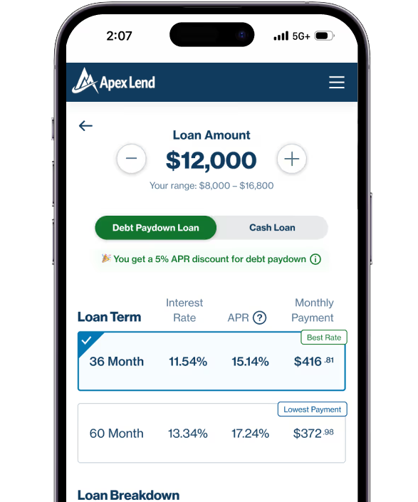 Loan dashboard preview